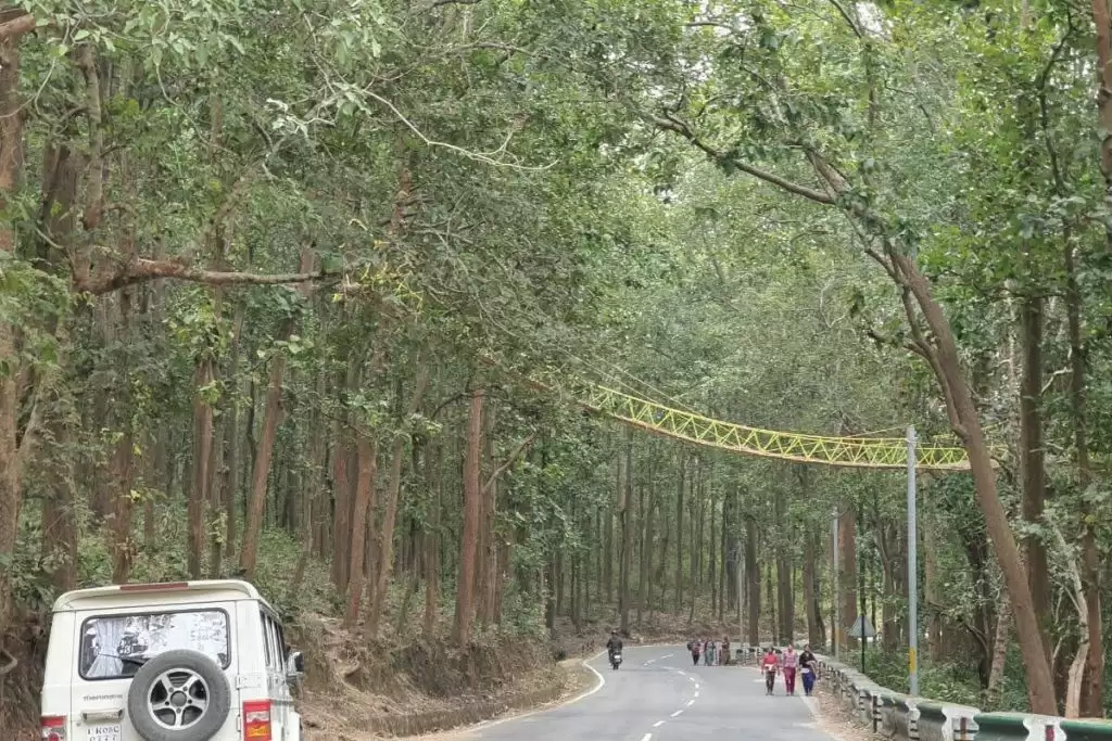 Uttarakhand ECO Bridge: जाने उत्तराखंड के इको ब्रिज के बारे में