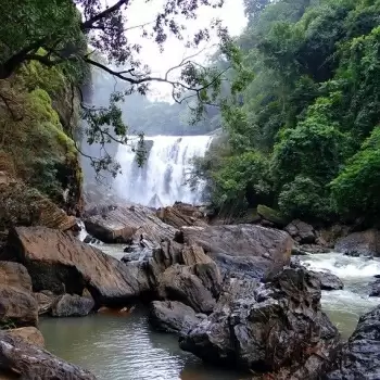 घूमने के लिए जरूर जाए कर्नाटक, देखने को मिलेंगे अद्भुत नजारे