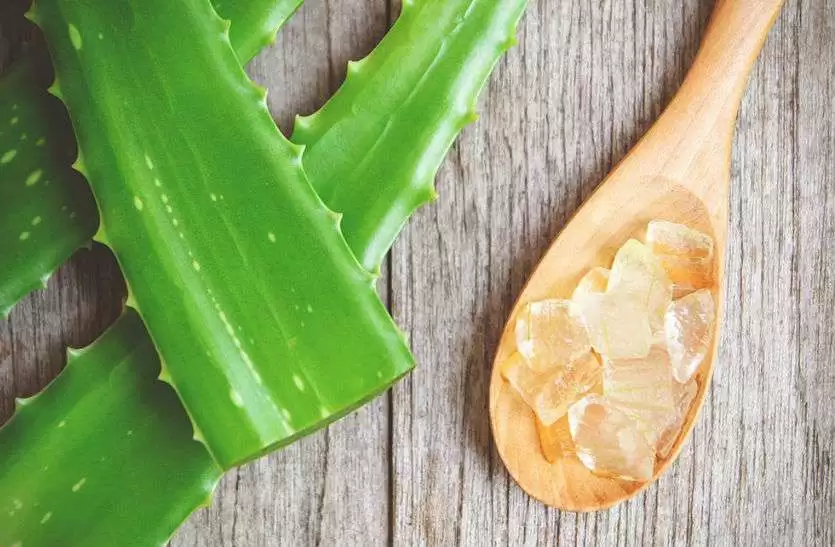 Beauty Tips: अपनाएं ये असरदार घरेलू उपाय, कोहनियों के कालेपन को जल्द करेंगे दूर