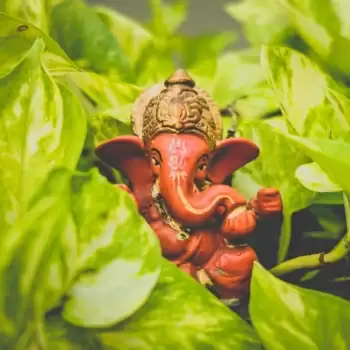 जानिए इस गणेश चतुर्थी किन तीन राशियों पर बरसेगी गणपति बाप्पा की कृपा