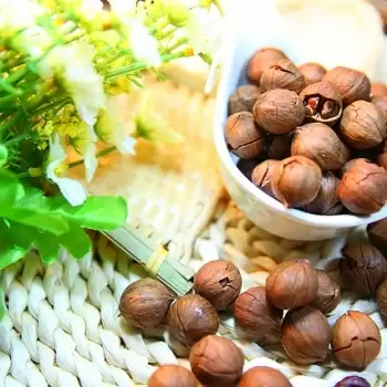 शुगर कंट्रोल करना चाहते है तो खाएं Pecan Nuts