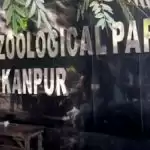 यूपी पर मंडराया बर्ड फ्लू का खतरा, पहला केस मिला