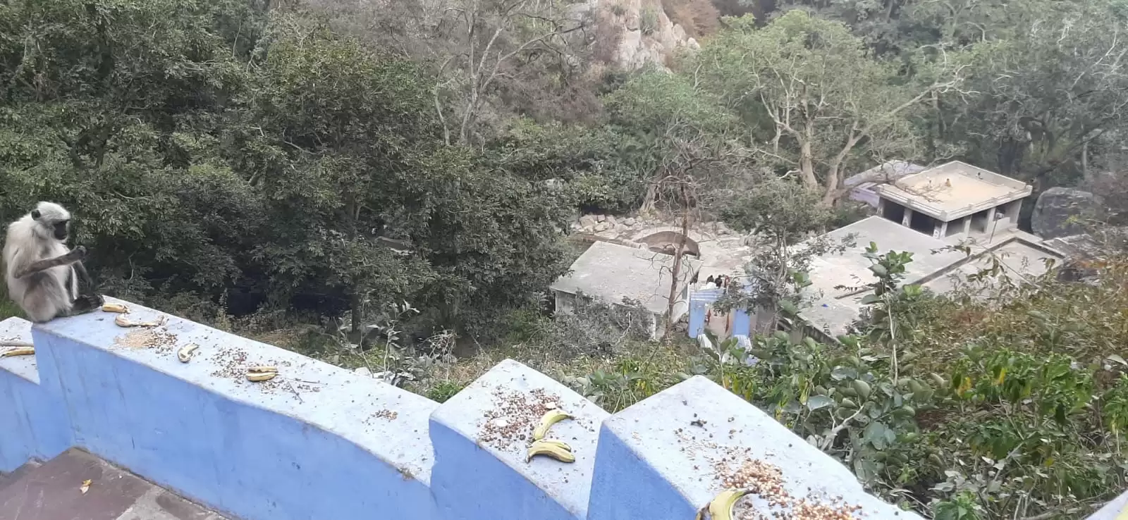 पाराशर धाम – जहां आज भी रात में बरसता है चंदन, यही लिखे गए थे कई पुराण