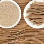 अश्वगंधा है बहुत लाभकारी लिवर डैमेज होने से बचाएगा, ऐसे करें इस्तेमाल