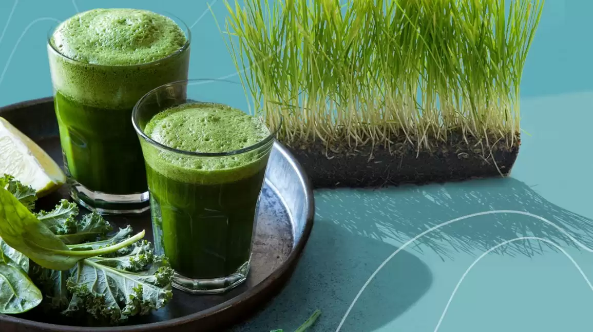 Health Benefits of Wheatgrass Juice: जाने व्हीटग्रास जूस सेवन करने के फ़ायदे, वजन घटाने और ब्लड प्रेशर को कम करने में है कारगर