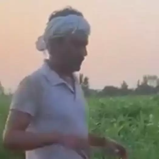 नवाजुद्दीन ने खेत मे बहाया पसीना, अपनी माटी की खुशबू का लिया आनंद