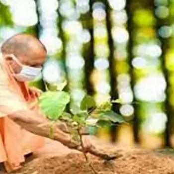 वृक्षारोपण का नया कीर्तिमान: यूपी में एक दिन में लगाए गए 25 करोड़ से ज़्यादा पौधे
