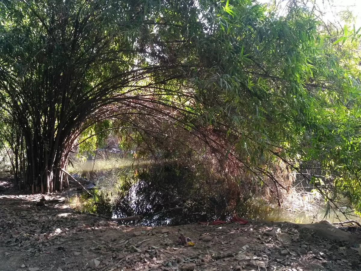 Haunted Places Delhi: दिल्ली की सबसे भुतहा जगहें, रोमांचक सफर के लिए बेस्ट!!