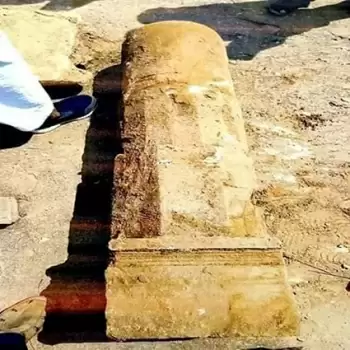 अयोध्या में हिन्दू मंदिर का दावा मुख्य मुद्दों से ध्यान बटाने का हथकंडा: दारापुरी