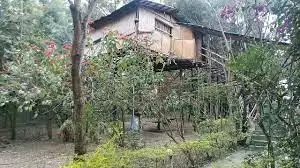 कुछ खास अनुभव करना चाहते है तो इन ट्री हाउस में घूमने का प्लान बनाएं