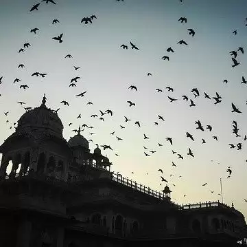 जयपुर जा रहे हैं घूमने तो इन जगहों पर जरूर जाएं, बेहद शानदार जगहे है ये