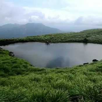 परफेक्ट जगह है वायनाड , एक बार अवश्य जाए