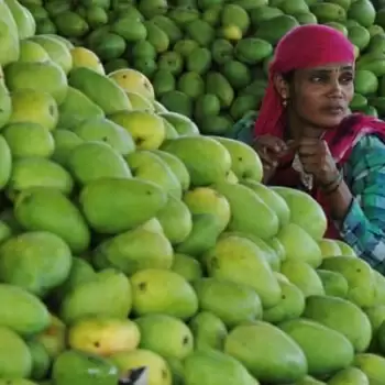 आम की बिक्री को लेकर बागबान चिंतित