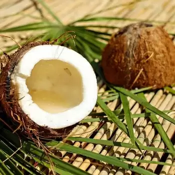World Coconut Day 2021: नारियल है बेहद फायदेमंद, जाने इसके बारे में