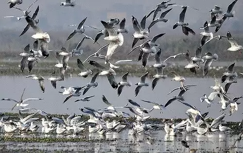 दिल्ली के ये टूरिस्ट प्लेस जहां आप उठा सकते हैं उत्तराखंड और हिमाचल की खूबसूरती का लुत्फ
