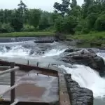 हरियाली ही हरियली देखने को मिलेगी यहाँ, ठण्ड में घूमने का और भी मज़ा