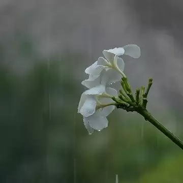 मानसून के मौसम में इन जगहों पर बना सकते हैं  घूमने का प्लान