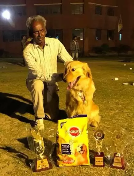 dogs trainer