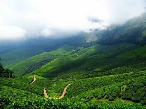 केरल के ये हिल स्टेशन है सबसे ख़ूबसूरत