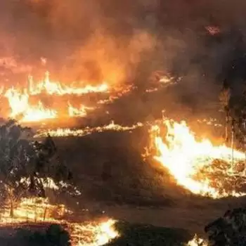 उत्तराखंड के जंगलों में फैली भीषण आग, चार की मौत