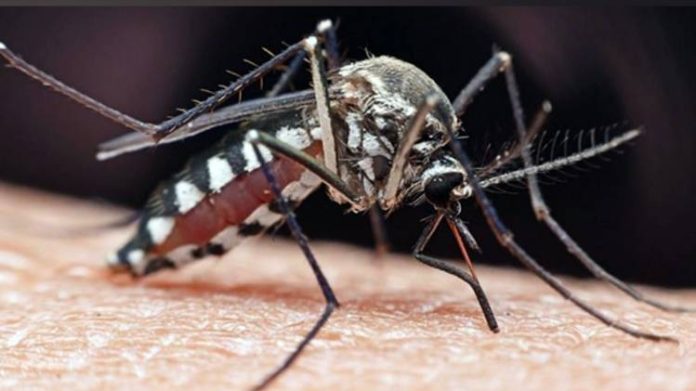 Scientists develop mosquito repellent 3D printed ring
