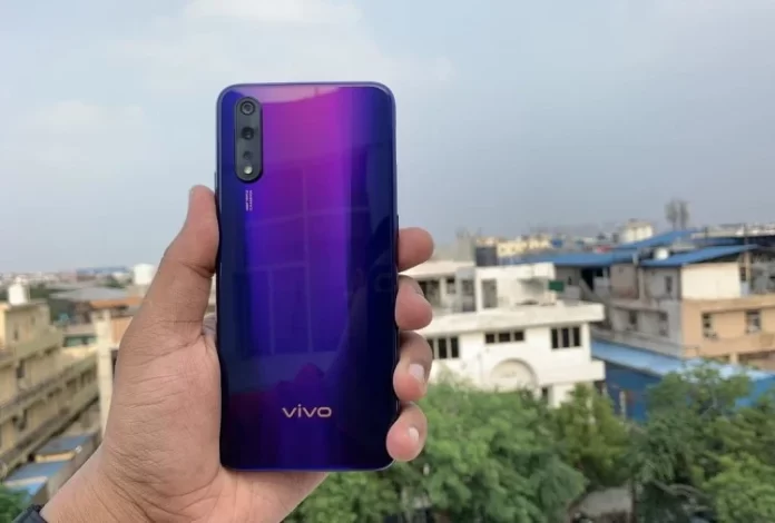 Vivo