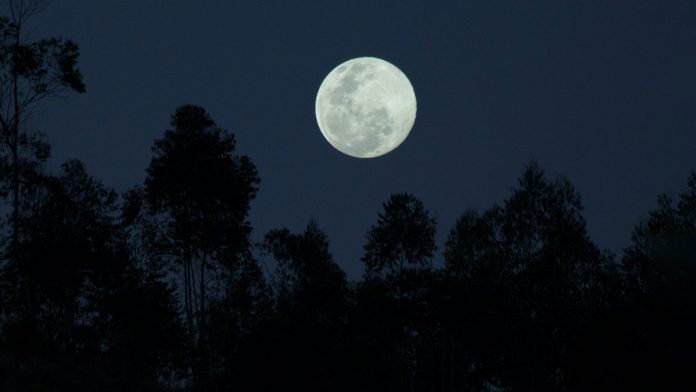 Sharad Purnima