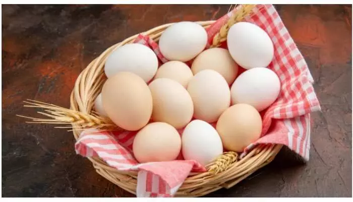 Artificial Eggs: