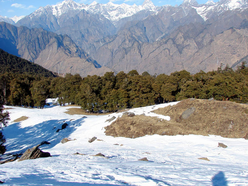 Auli Bugyal
