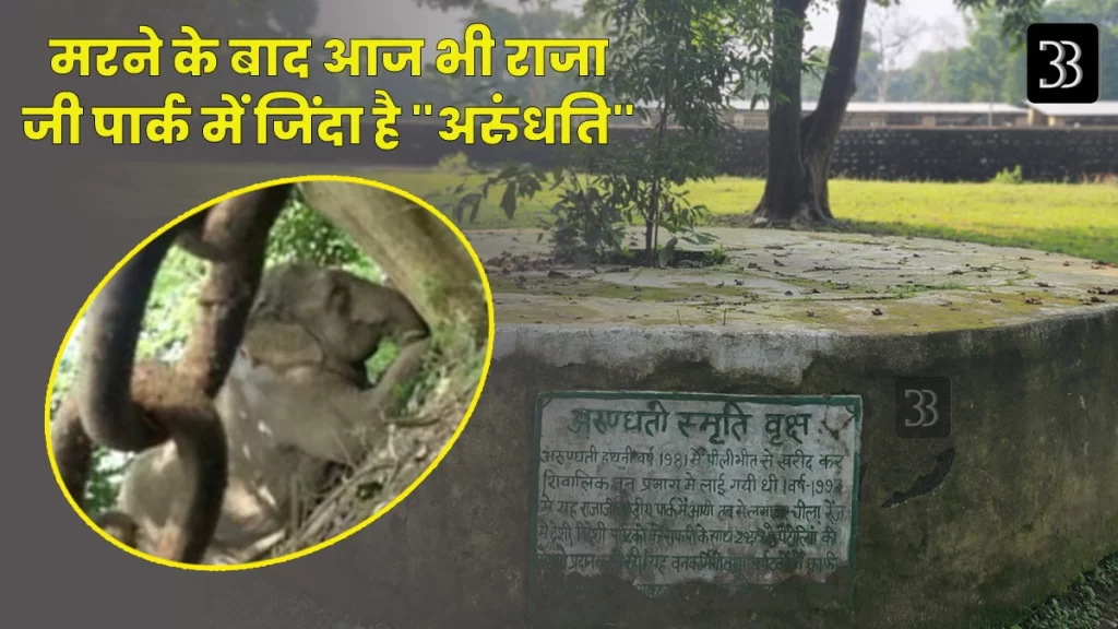 Rajaji National Park: