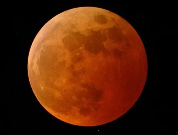 Last lunar eclipse of the year on November 8