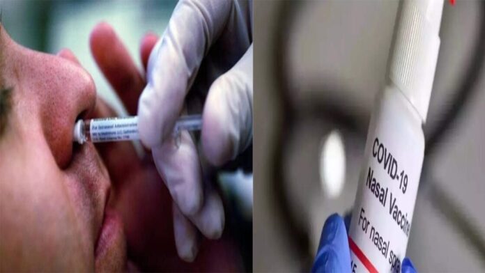 Nasal Vaccine