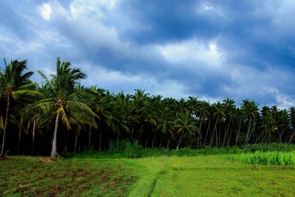 Tamil Nadu New Year Celebration