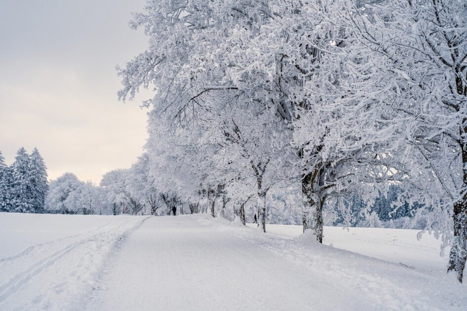 Winter Travel Tips