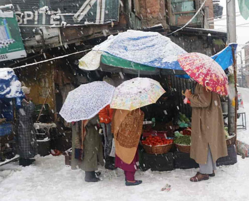 kashmir