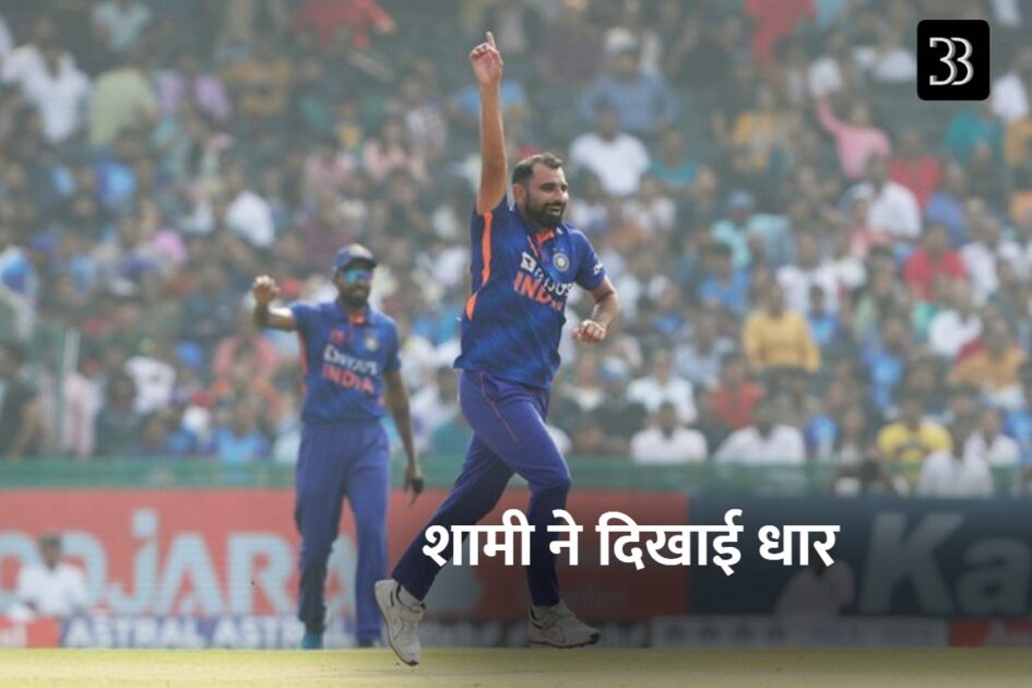 shami
