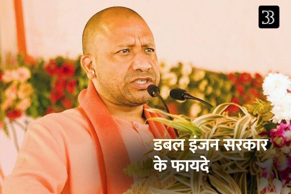 yogi