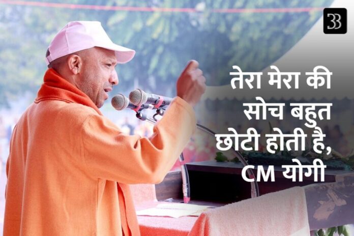 yogi
