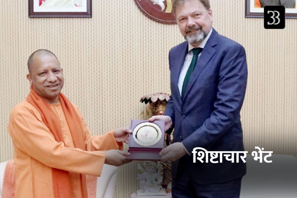yogi