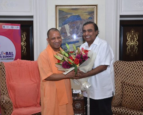 yogi