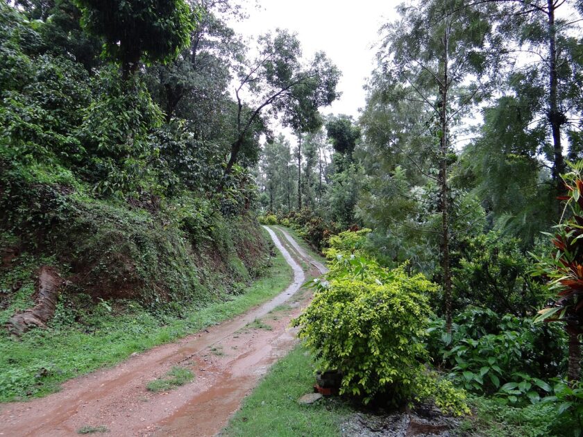Coorg Hills