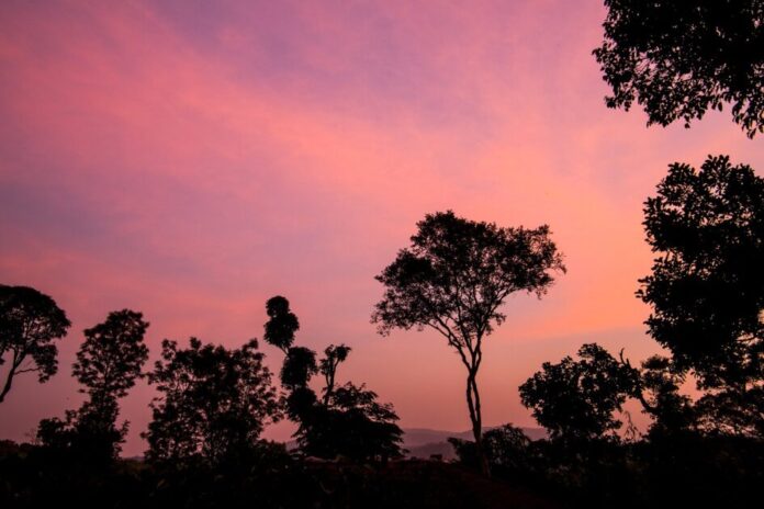 Coorg Hills