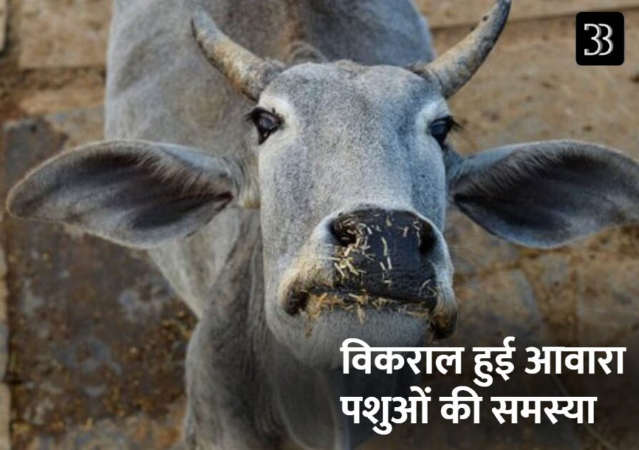akhilesh