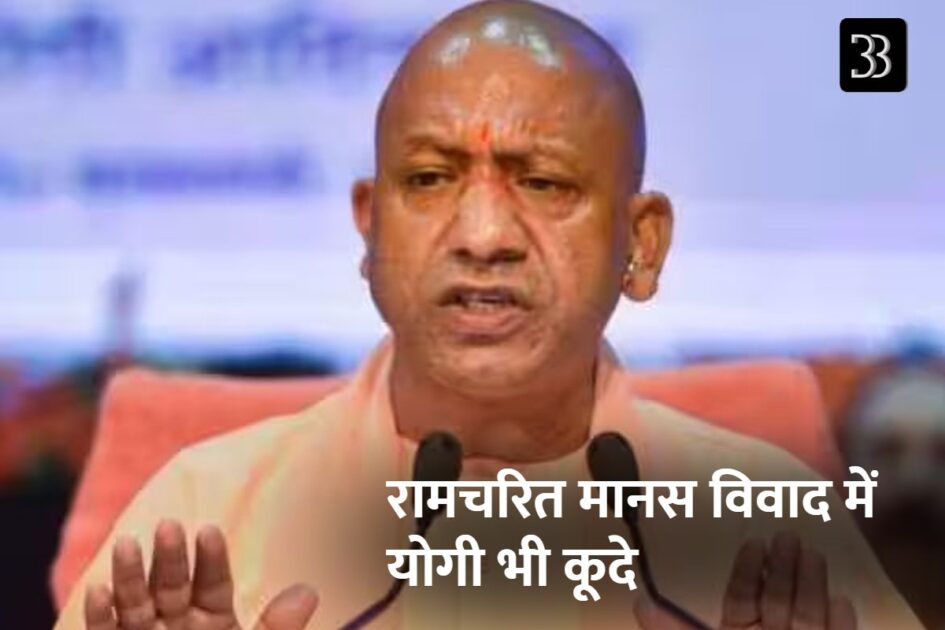 yogi