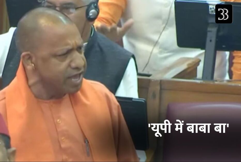 yogi