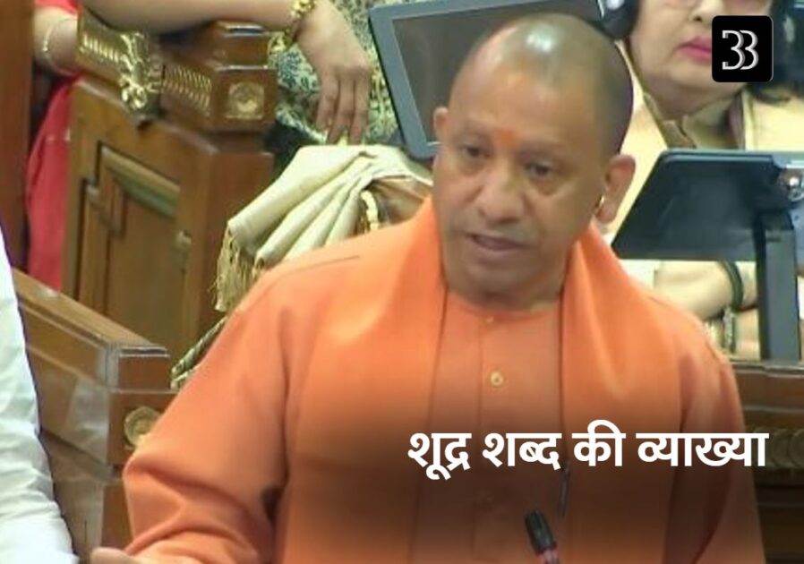 yogi