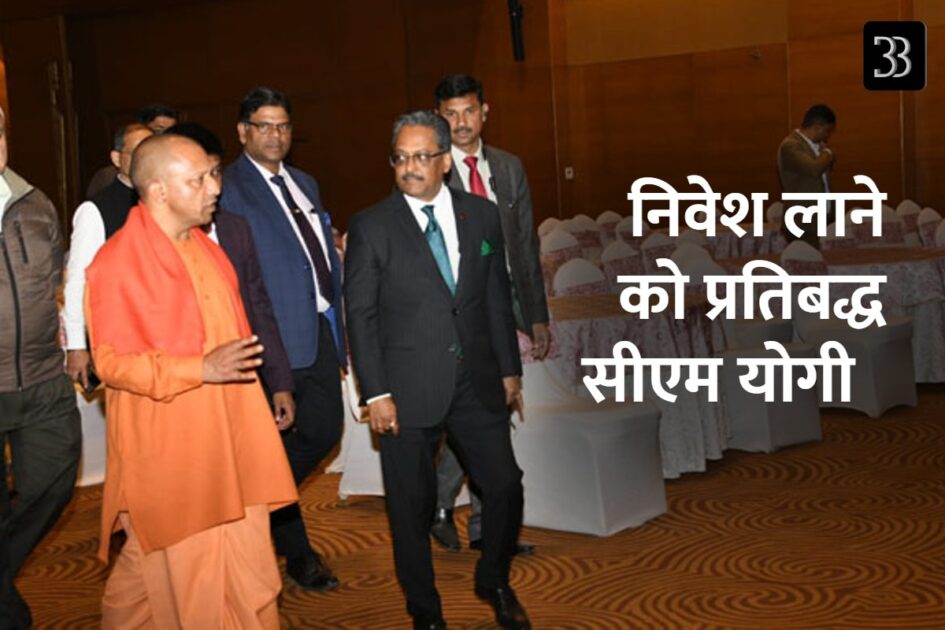 yogi