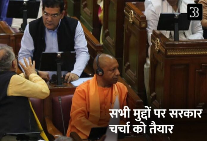 yogi