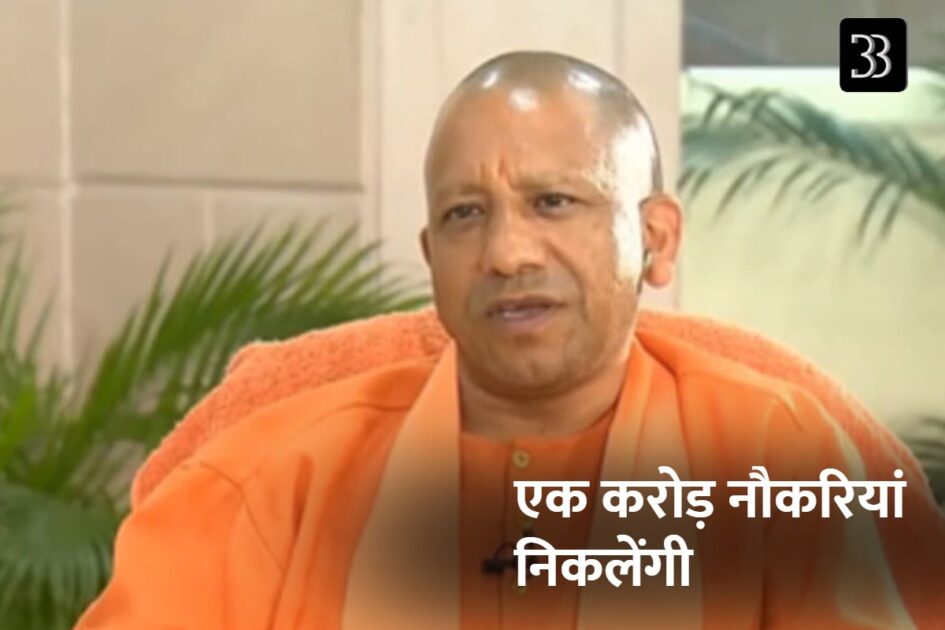 yogi