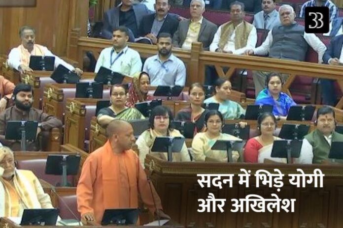 yogi